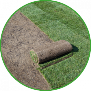 Rasen- und Rollrasen