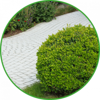 Gartengestaltung und Beetanlage